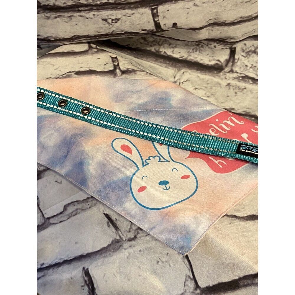Easter Over Collar‎ Slide On  Pet Dog Bandana Scarf With Collar Small/medium